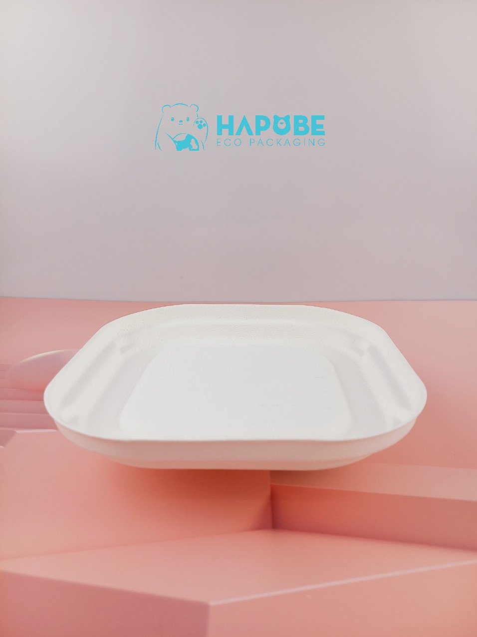 Đĩa Bã Mía Vuông Trắng 15cm - Ảnh 5