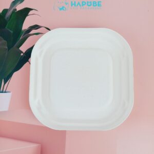 Alternative view of Đĩa Bã Mía Vuông Trắng 15cm