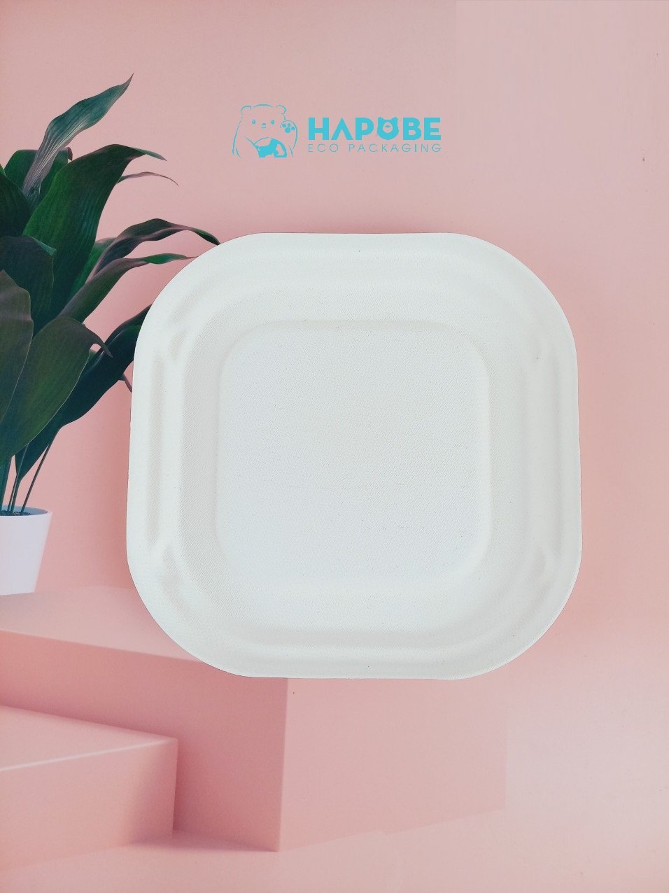 Đĩa Bã Mía Vuông Trắng 15cm - Ảnh 2