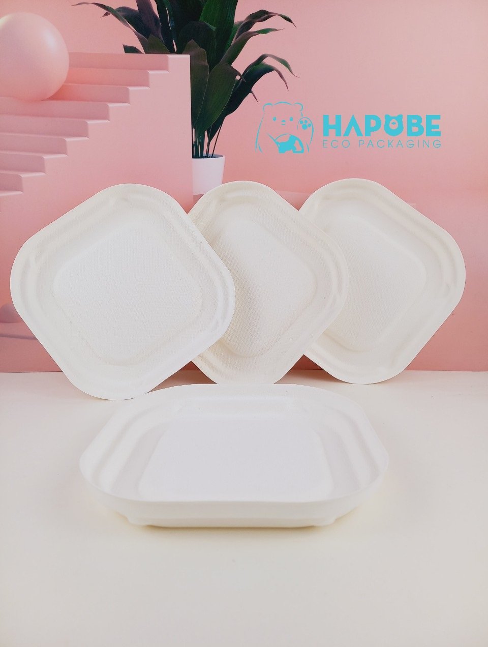 Đĩa Bã Mía Vuông Trắng 15cm - Ảnh 3