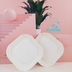 Đĩa Bã Mía Vuông Trắng 15cm