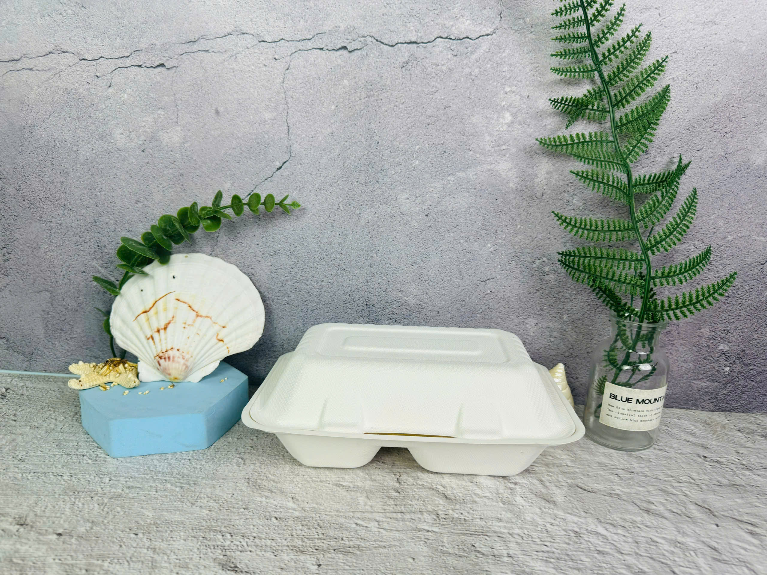 Hộp Bã Mía Vỏ Sò Chữ Nhật Trắng 2 Ngăn 900ml