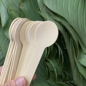 Alternative view of Thìa gỗ sữa chua cong