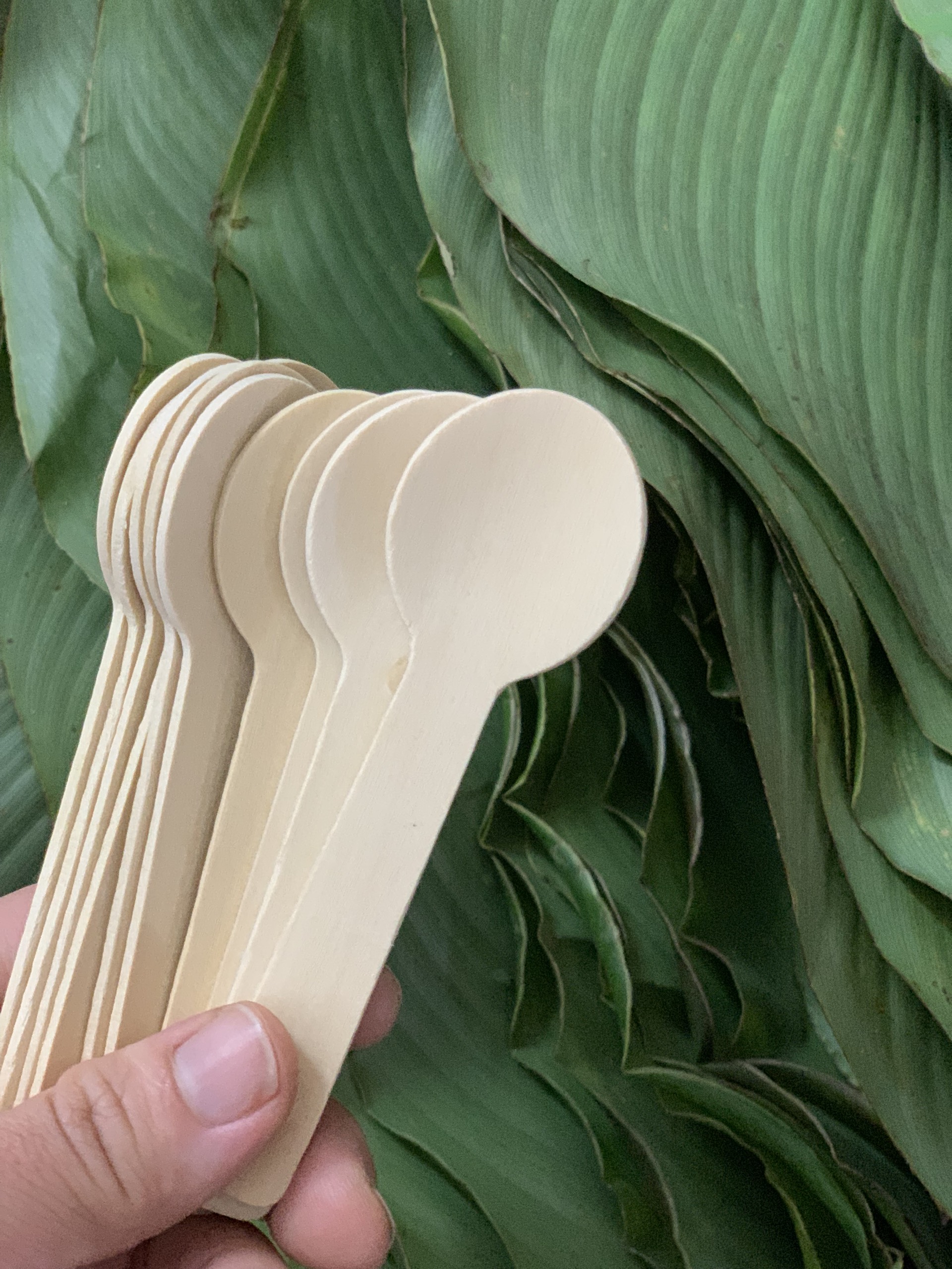 Thìa gỗ sữa chua cong - Ảnh 2