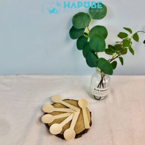 Thìa gỗ sữa chua cong