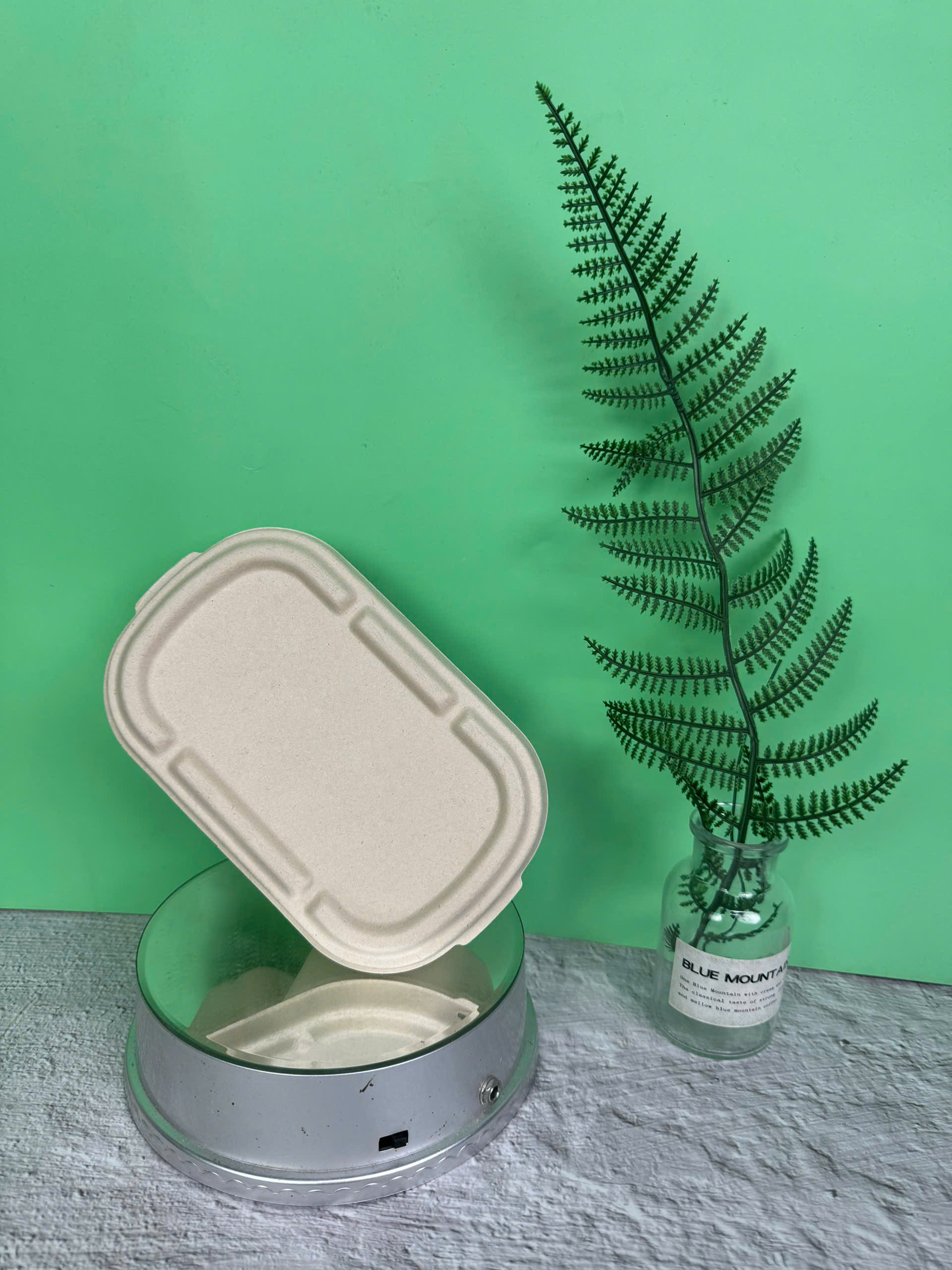 Hộp Bã Mía Oval 2 Ngăn 700ml - Ảnh 7