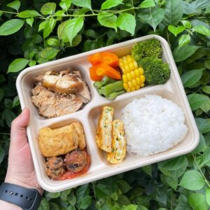 Hộp Bã Mía 4 Ngăn