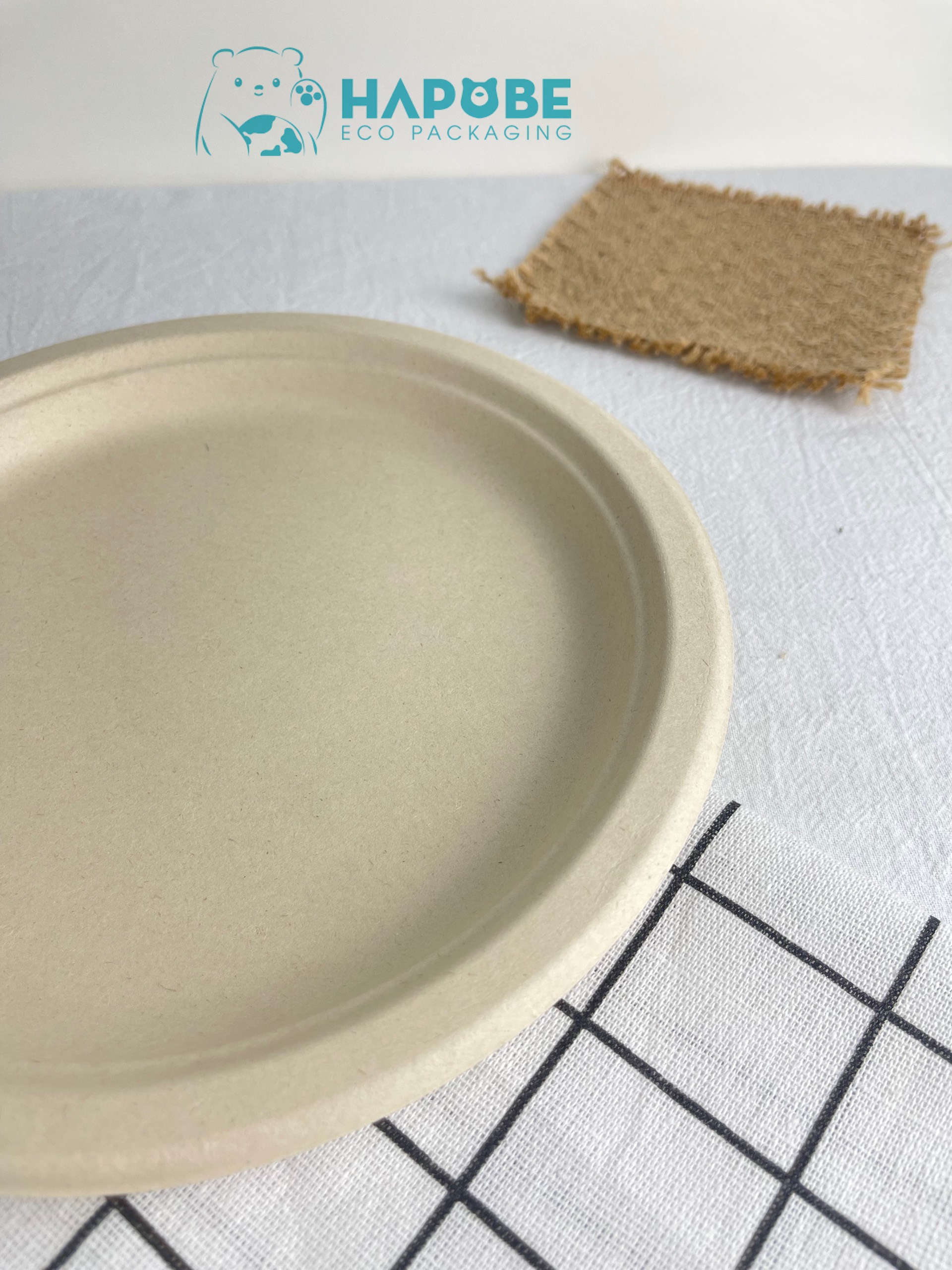 Đĩa Bã Mía Tròn 9" 22cm - Ảnh 7