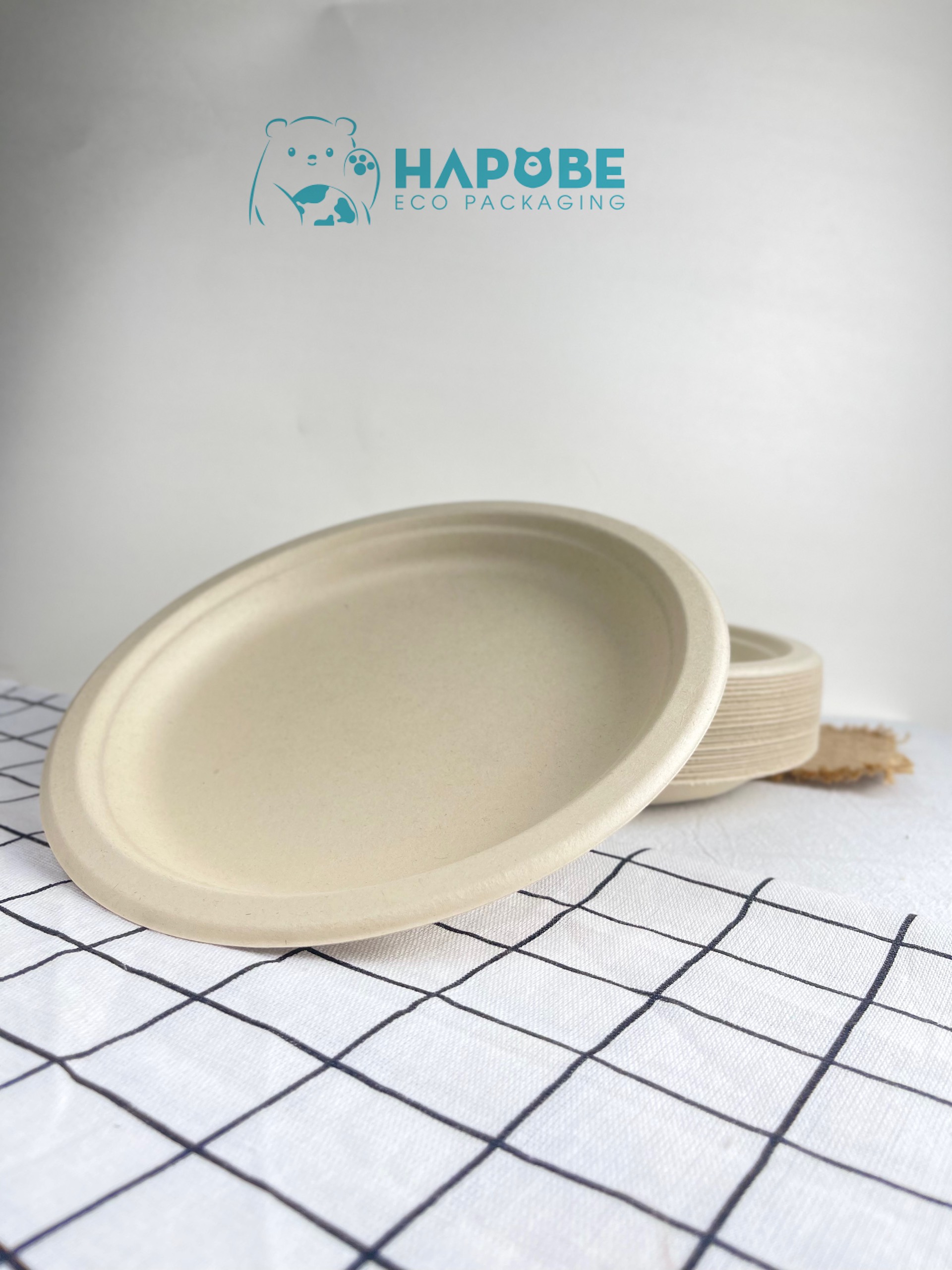 Đĩa Bã Mía Tròn 9" 22cm - Ảnh 6