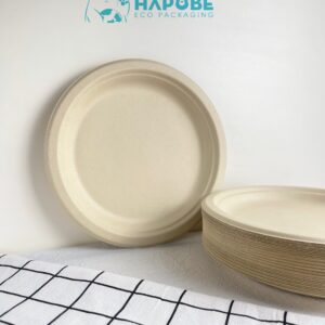 Đĩa Bã Mía Tròn 9" 22cm