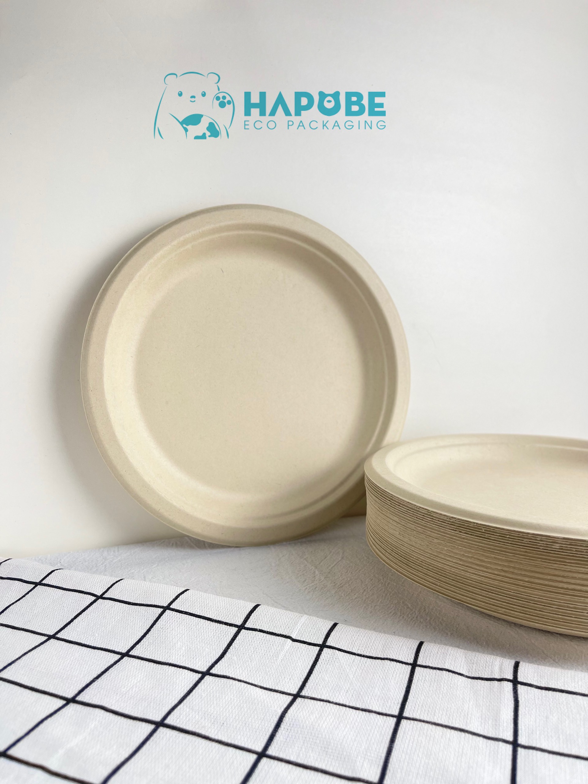 Đĩa Bã Mía Tròn 9" 22cm