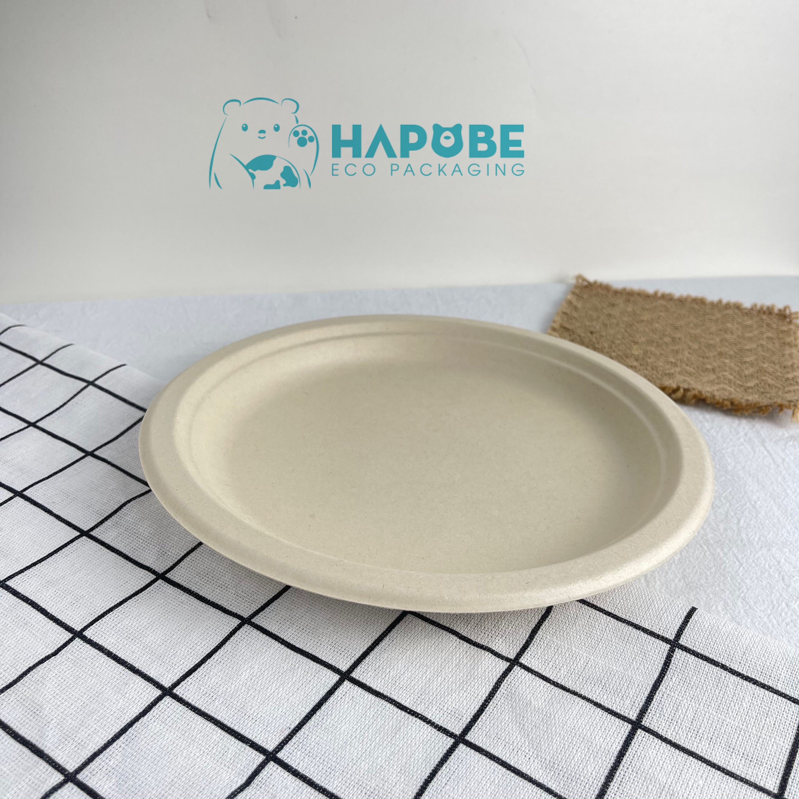 Đĩa Bã Mía Tròn 9" 22cm - Ảnh 4