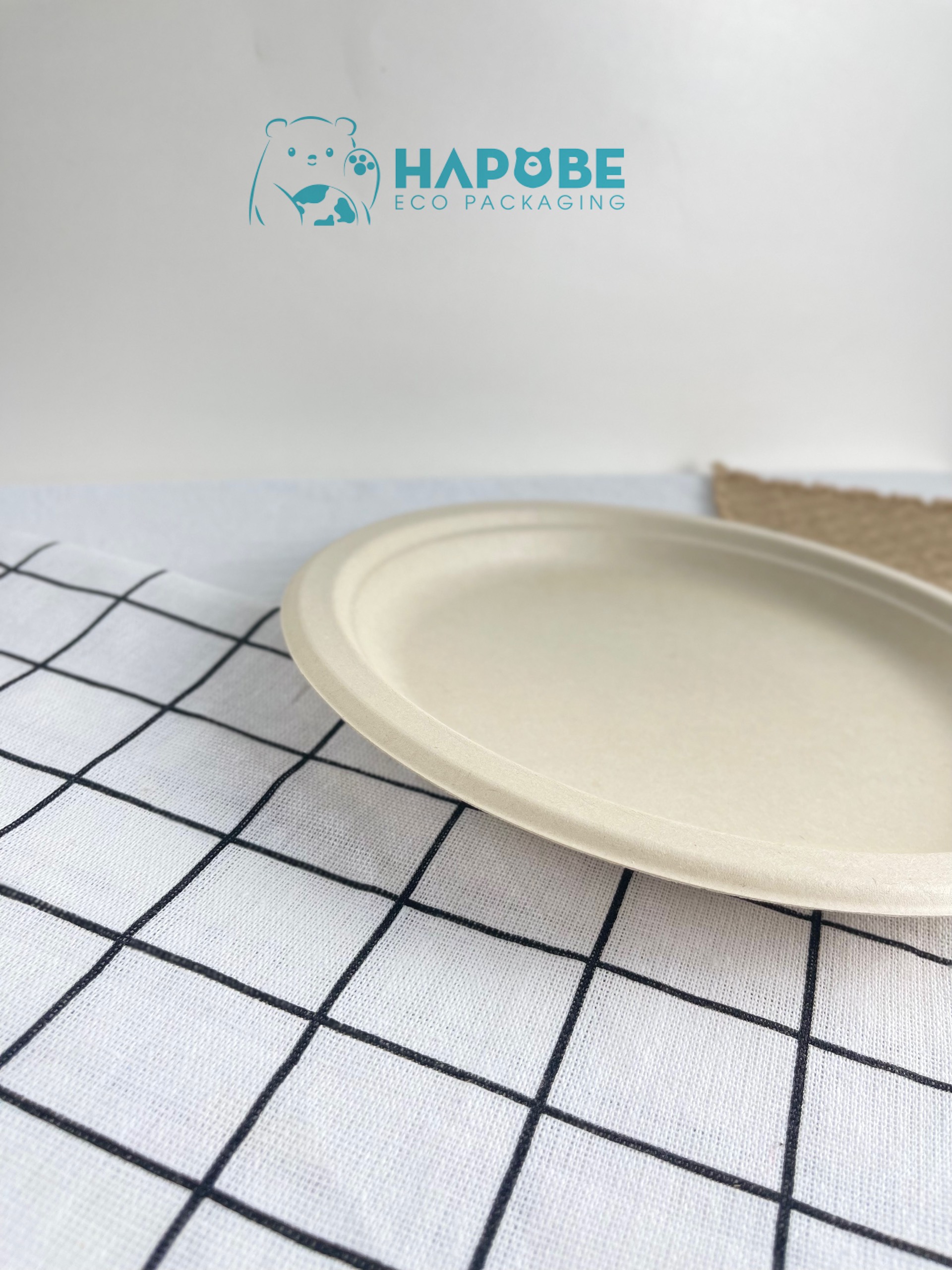 Đĩa Bã Mía Tròn 9" 22cm - Ảnh 3