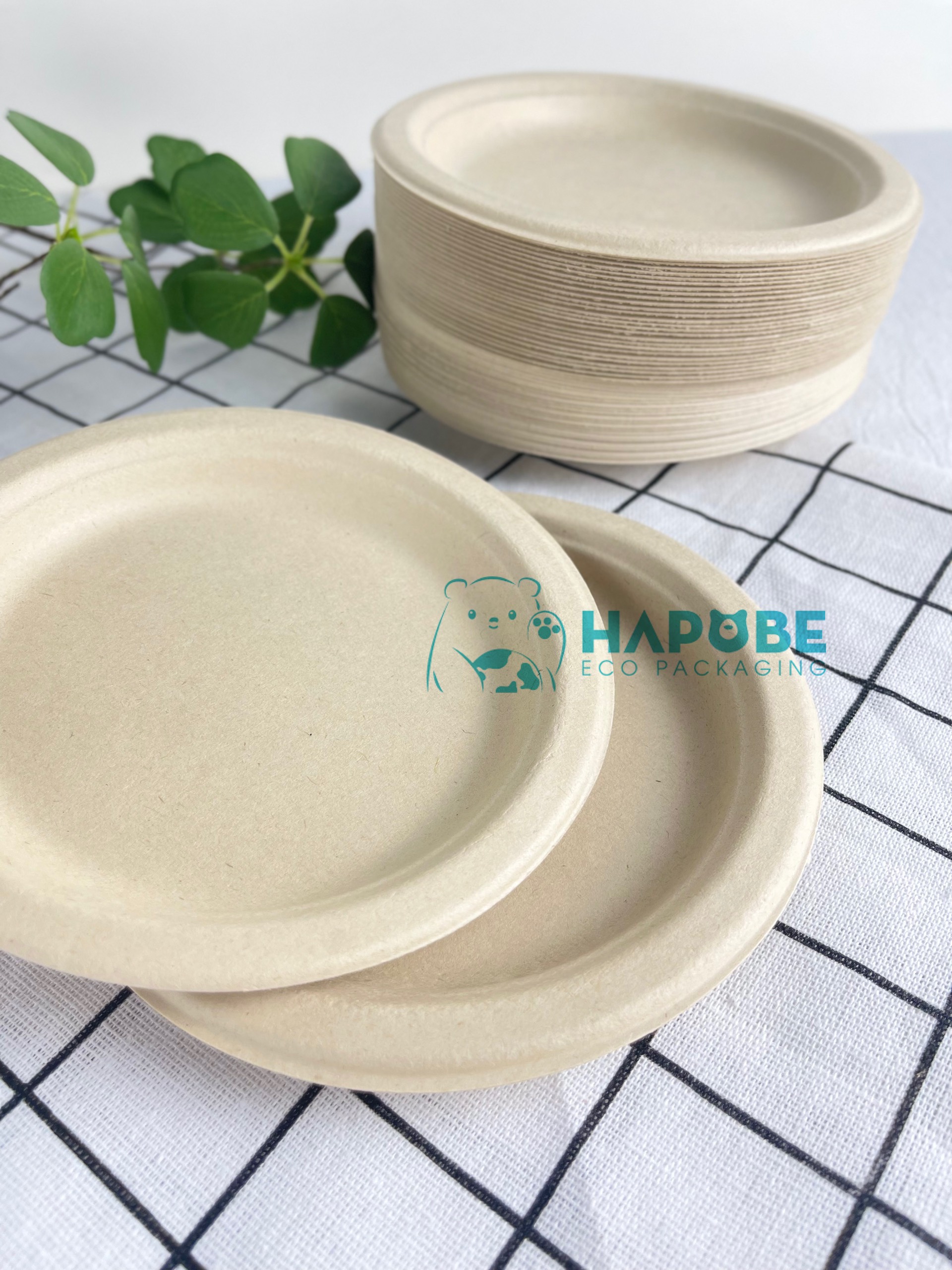 Đĩa Bã Mía Tròn 6" 15cm - Ảnh 2