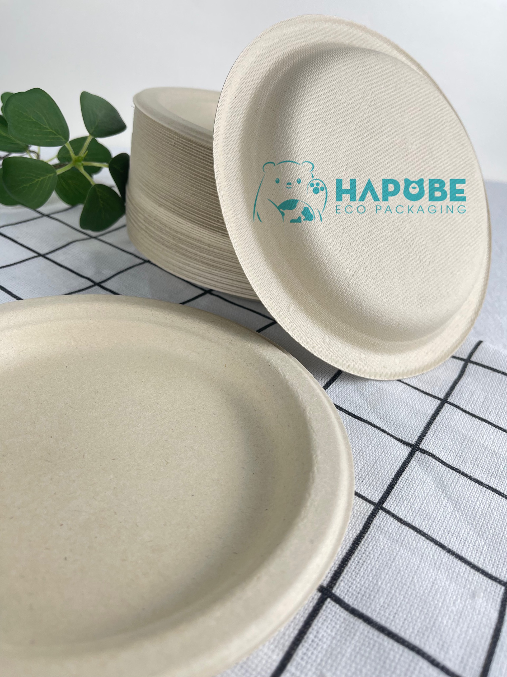 Đĩa Bã Mía Tròn 6" 15cm - Ảnh 5