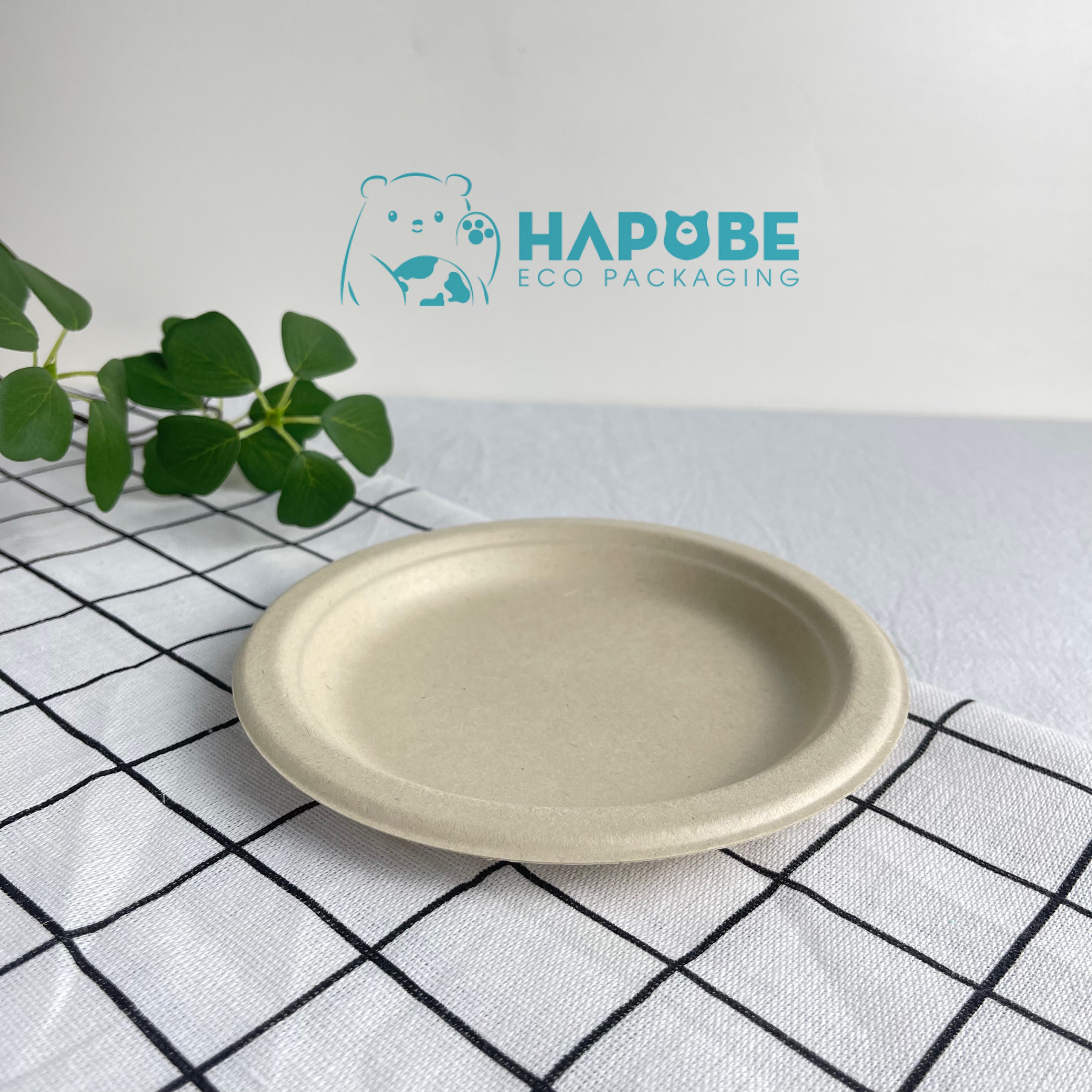 Đĩa Bã Mía Tròn 6" 15cm - Ảnh 3