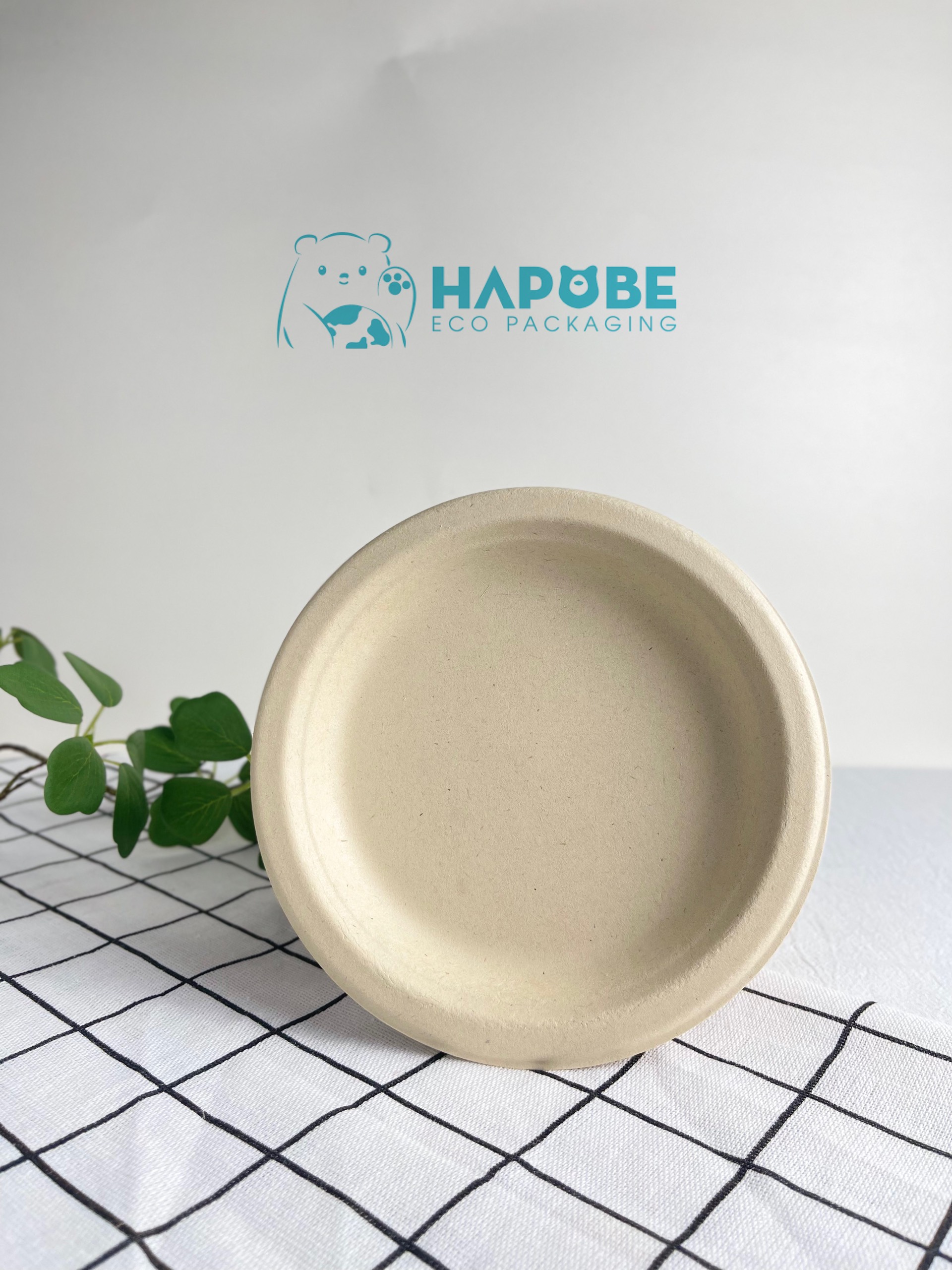 Đĩa Bã Mía Tròn 6" 15cm - Ảnh 4