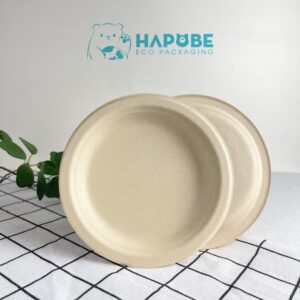 Đĩa Bã Mía Tròn 6" 15cm