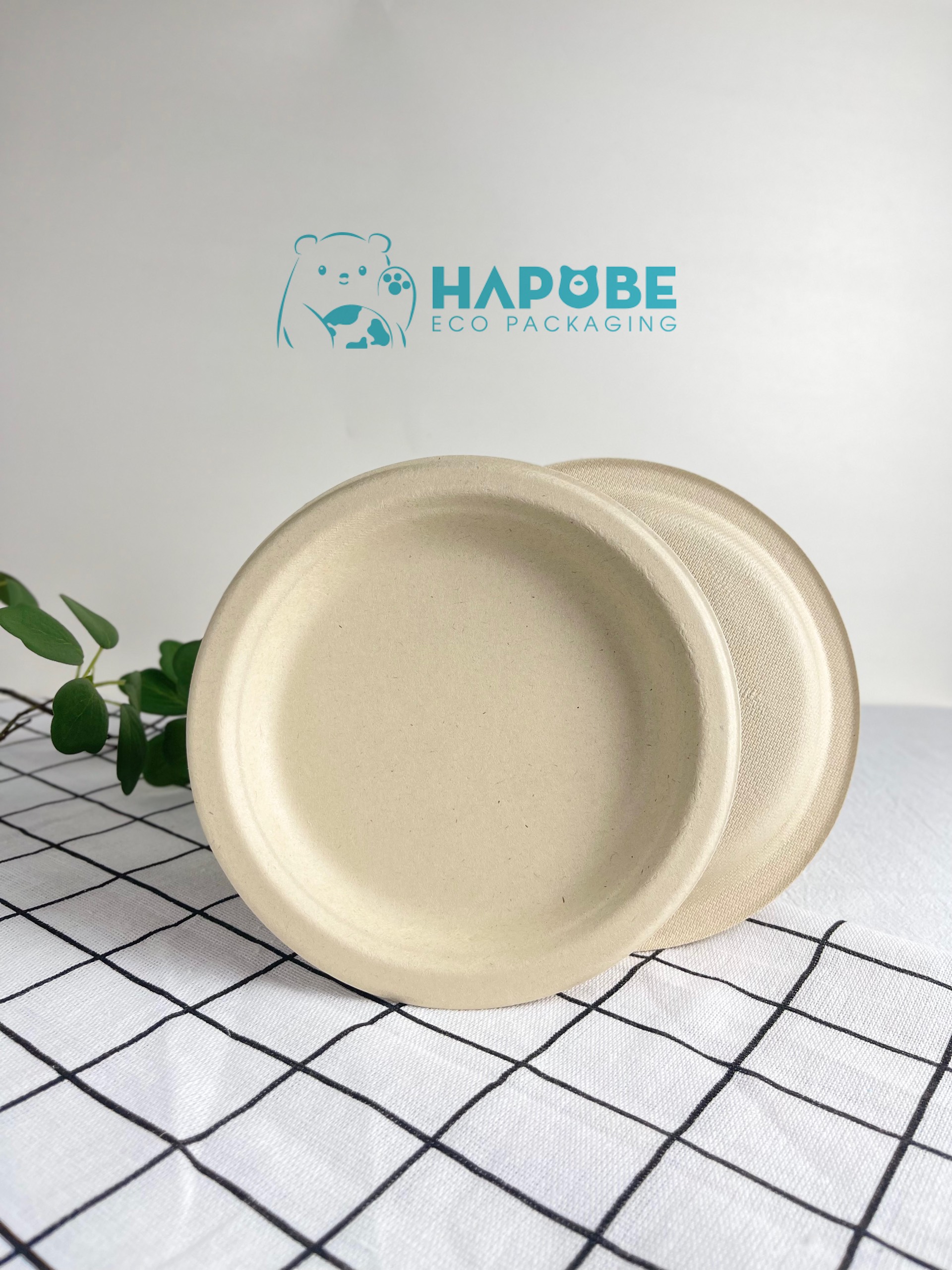 Đĩa Bã Mía Tròn 6" 15cm