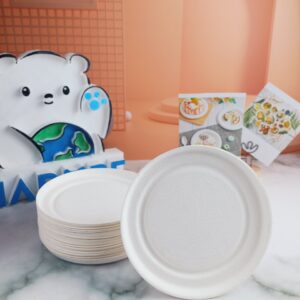 Đĩa Bã Mía Sinh Nhật 11.5cm trắng