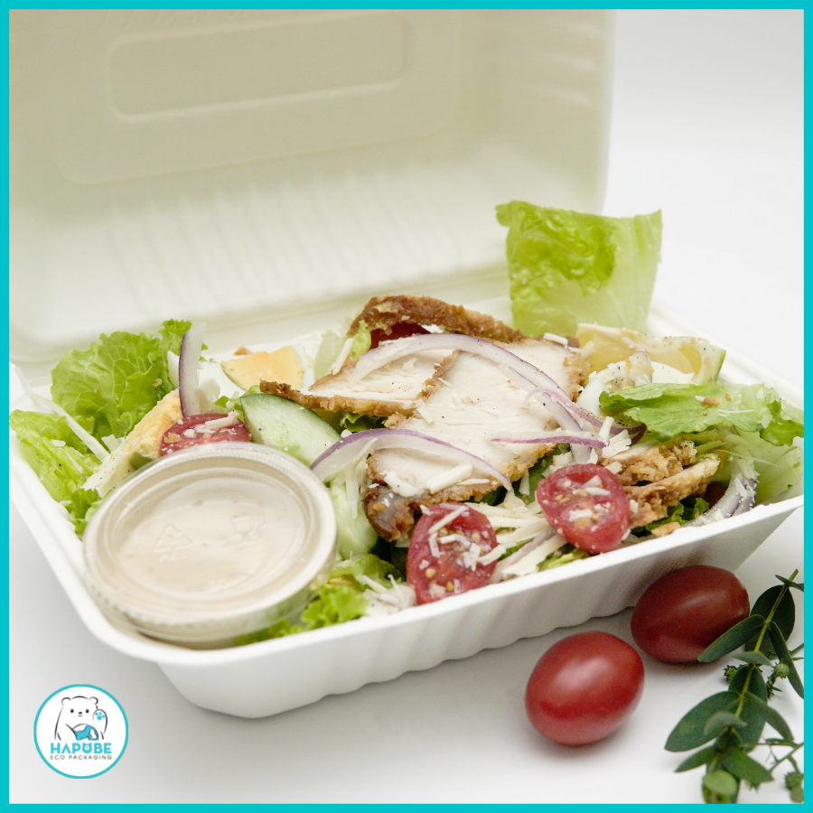 Hộp Bã Mía Vỏ Sò Chữ Nhật Trắng Sọc 1000ml - Ảnh 6